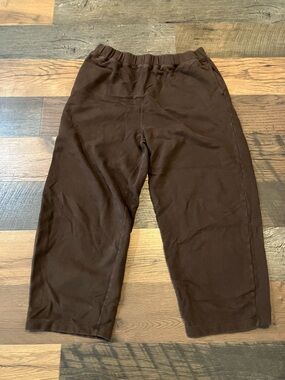 American Eagle luxe barrel sweatpants